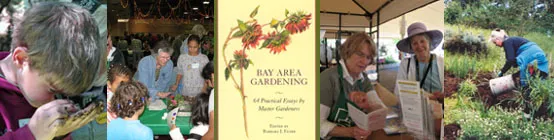 master gardener banner