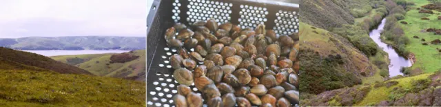 wildllifeandfish1 copy