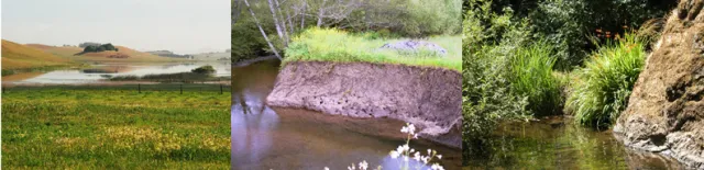 watershed management copy