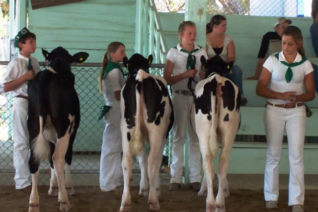 4-H Chowchilla 4-H Madera Fair chpt grp 2008