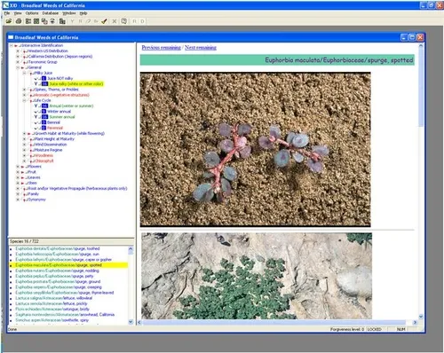 broadleaf weed ID software