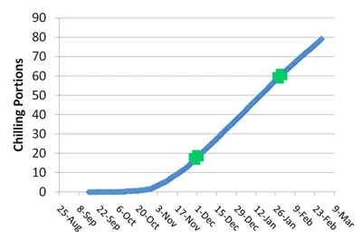 Average Chilling Portions accumulation over time using 15 years data from Nicolaus CIMIS weather station