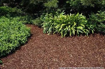 organic mulch uc