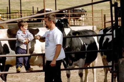 20080423__23dairy1_Gallery