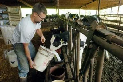 20080423__23dairy2_Gallery