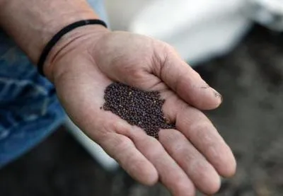 Nonprofit_helps_local_farms-2