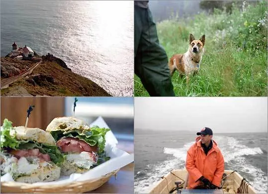 Coastal meandering 4379