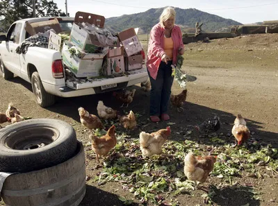 Kitty Dolcini Red Hill Ranch