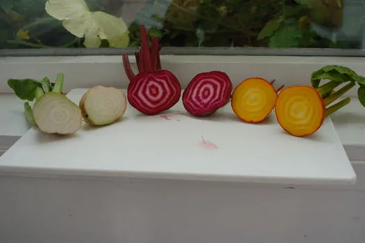 ‘Albino’, ‘Chioggia’ and ‘Golden’ beets