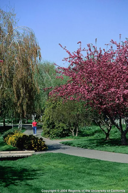 Mixed_landscape_ANR-3359_014-1