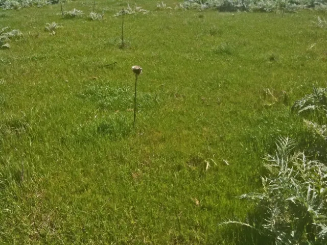 Effective residual treatment