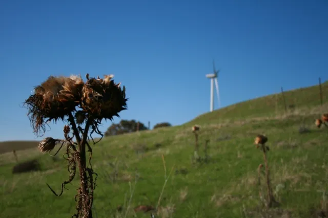 SMUD in the background