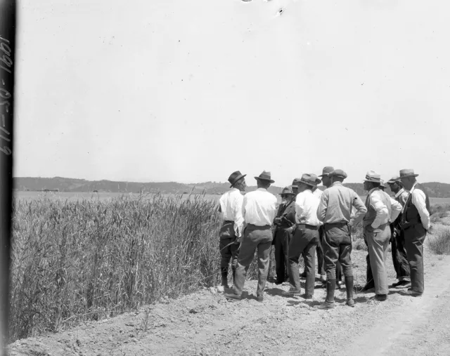 1991-05-119 ©JackMasonMuseum