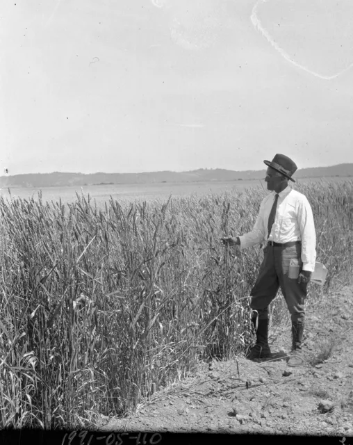 1991-05-110 ©JackMasonMuseum