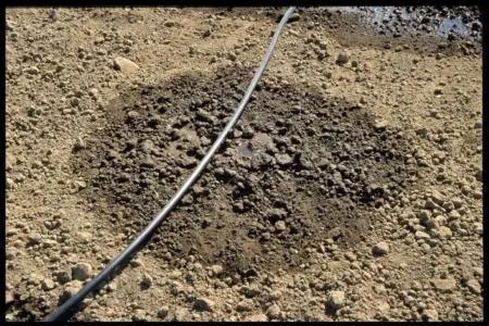 Scheduling Drip Irrigation