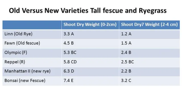 Tall fescue and ryegrass