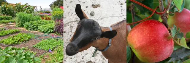 CE site_Resources page