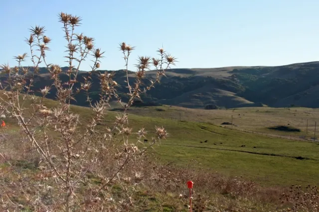 View from our experiment site near Petaluma