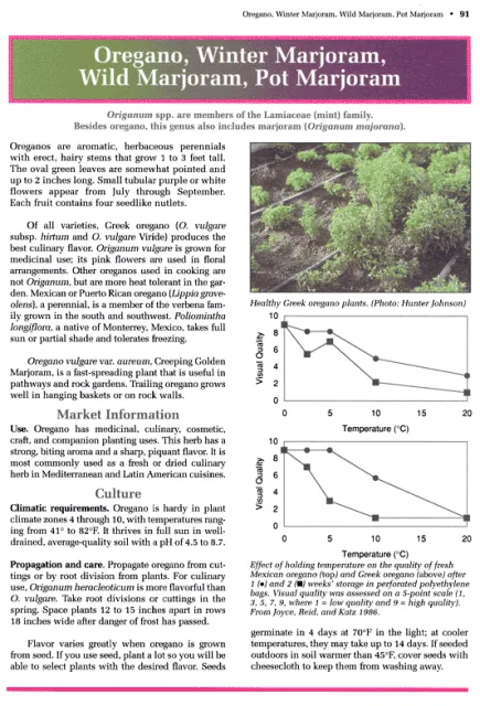 excerpt from Specialty and Minor Crops Handbook - Second Edition on Oregano and Winter Marjoram