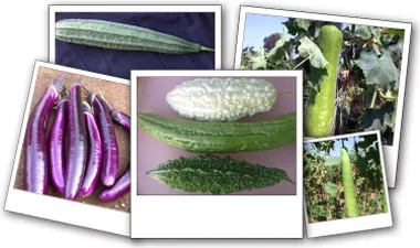 110714asianveg