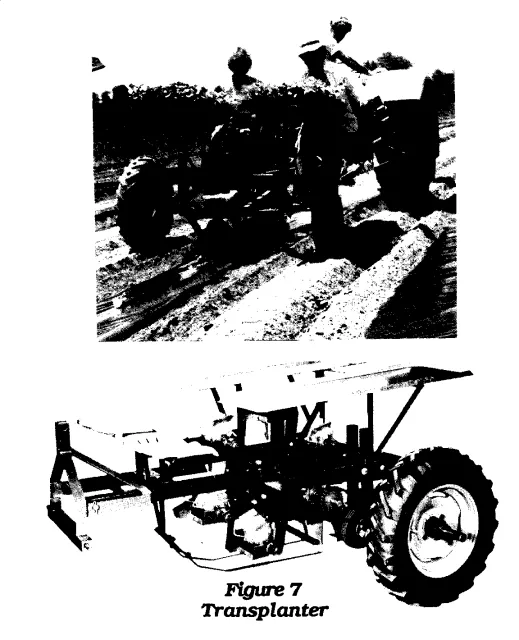 transplanter