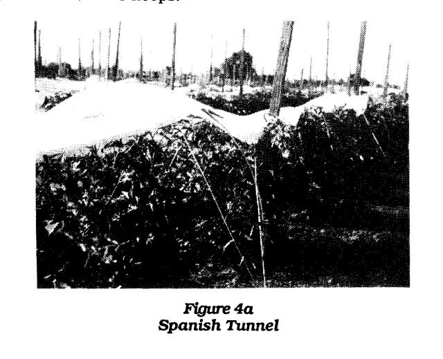 tunnel3