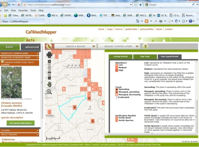 Regional Screen Shot Canada Thistle CalWeedMapper Cropped