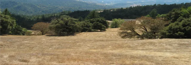 rectangular pasture view