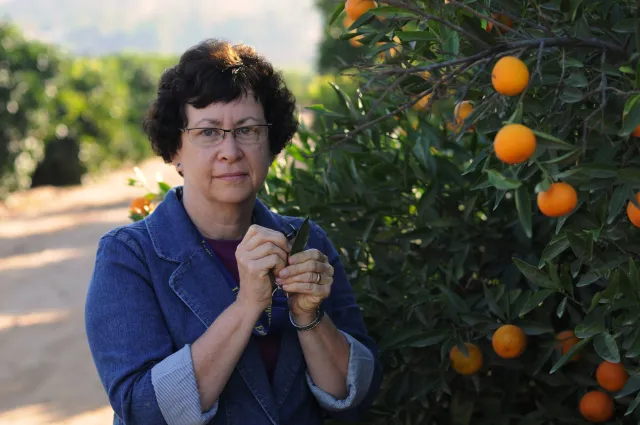 Beth Grafton-Cardwell