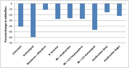 Strawberry IPM trial-whitefly graph