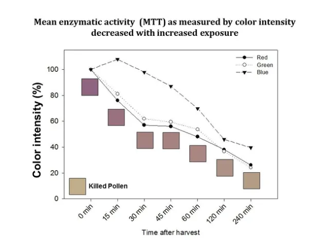 MMW 2012 - Sosnoskie - The Devil Went down to Georgia