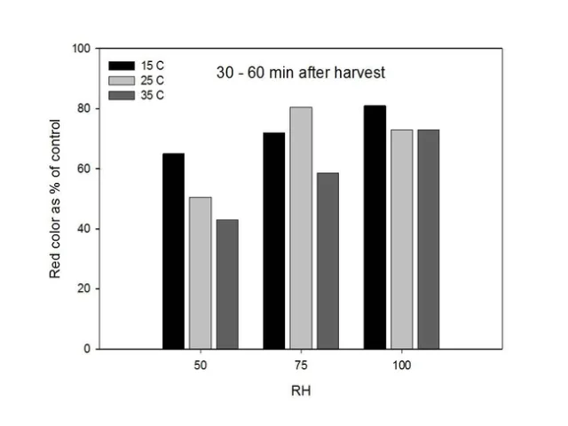 BCC 2008 Sosnoskie Pollen viability 4
