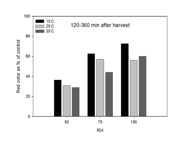 BCC 2008 Sosnoskie Pollen viability 5