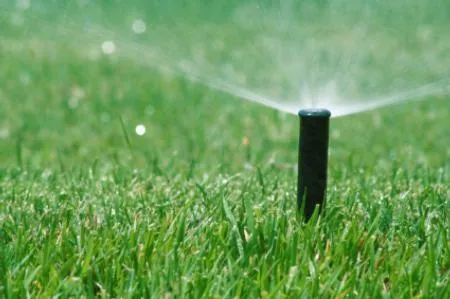 Turf grass sprinkler head