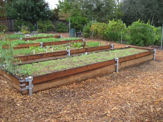 FOHC raised veg beds