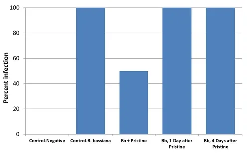 2012 Bb and Pristine compatibility-Sumanth's