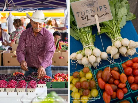 Farmer's-Market-1