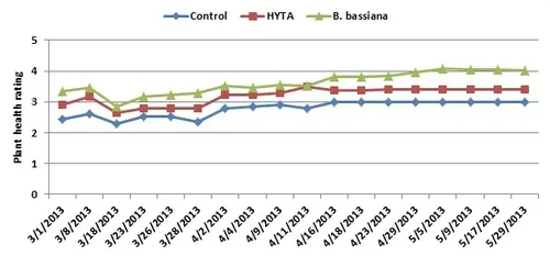 Strawberry plant health