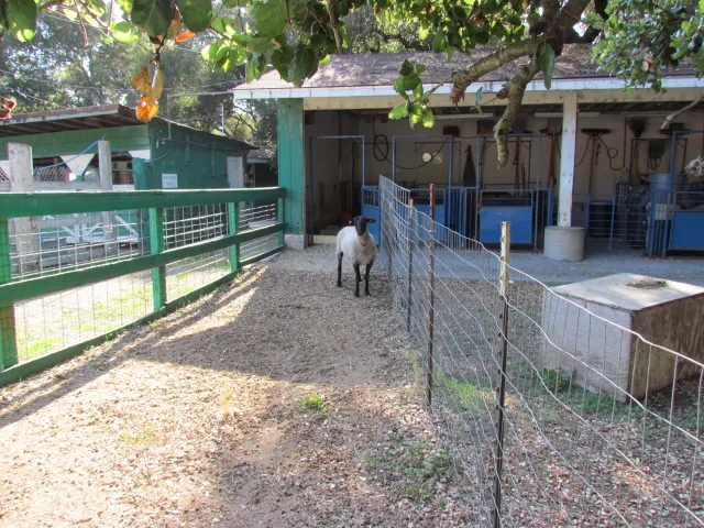 Crystal Springs 4-H Farm