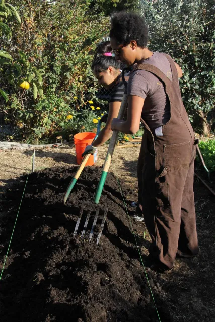 Two teenagers working on urban farm