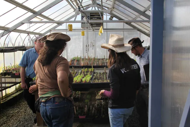 Greenhouse discussion