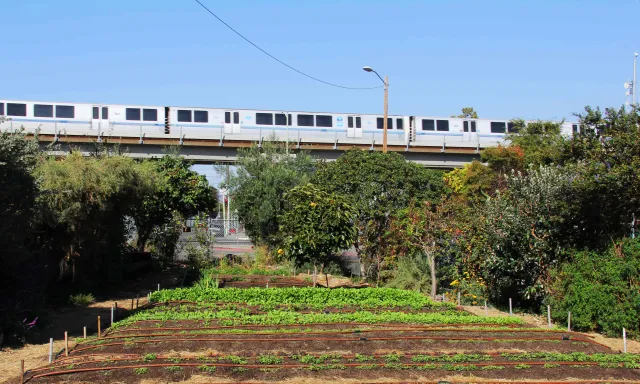 WOW Farm, Richmond, CA below BART commuter line
