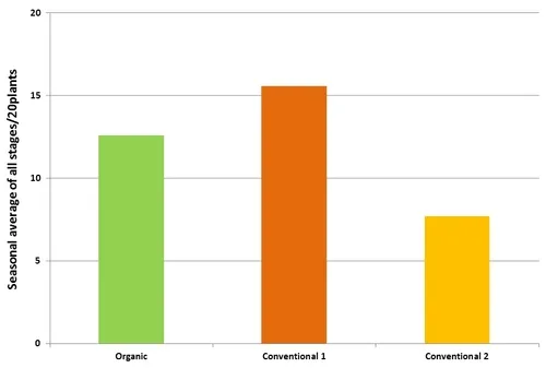 Lygus-seasonal average of all stages