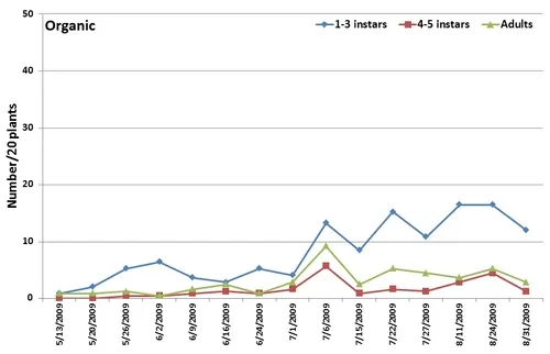 Lygus-seasonal occurrence-Organic