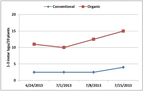 Graphs-1-3 instar lygus