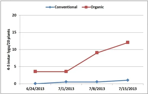 Graphs-4-5 instar lygus