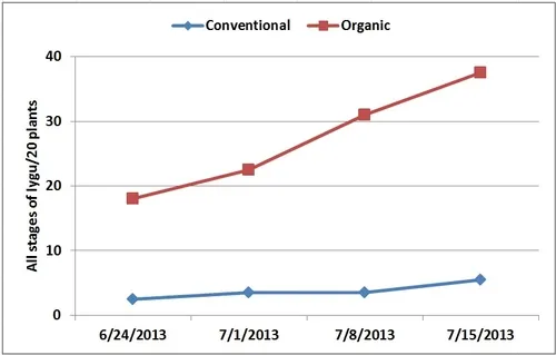Graphs-Nymphs and adults lygus