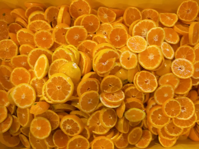 China S-9 satsuma slices