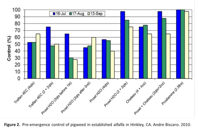 Figure 2, Pre-emergence control of pigweed in established alfalfa field in Hinkley, CA