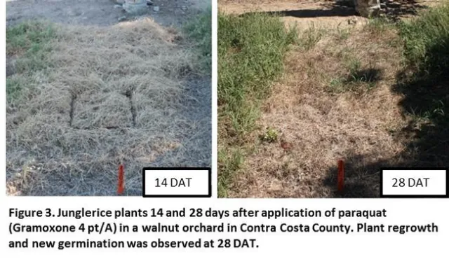 UCweedblog 093014 Fig3